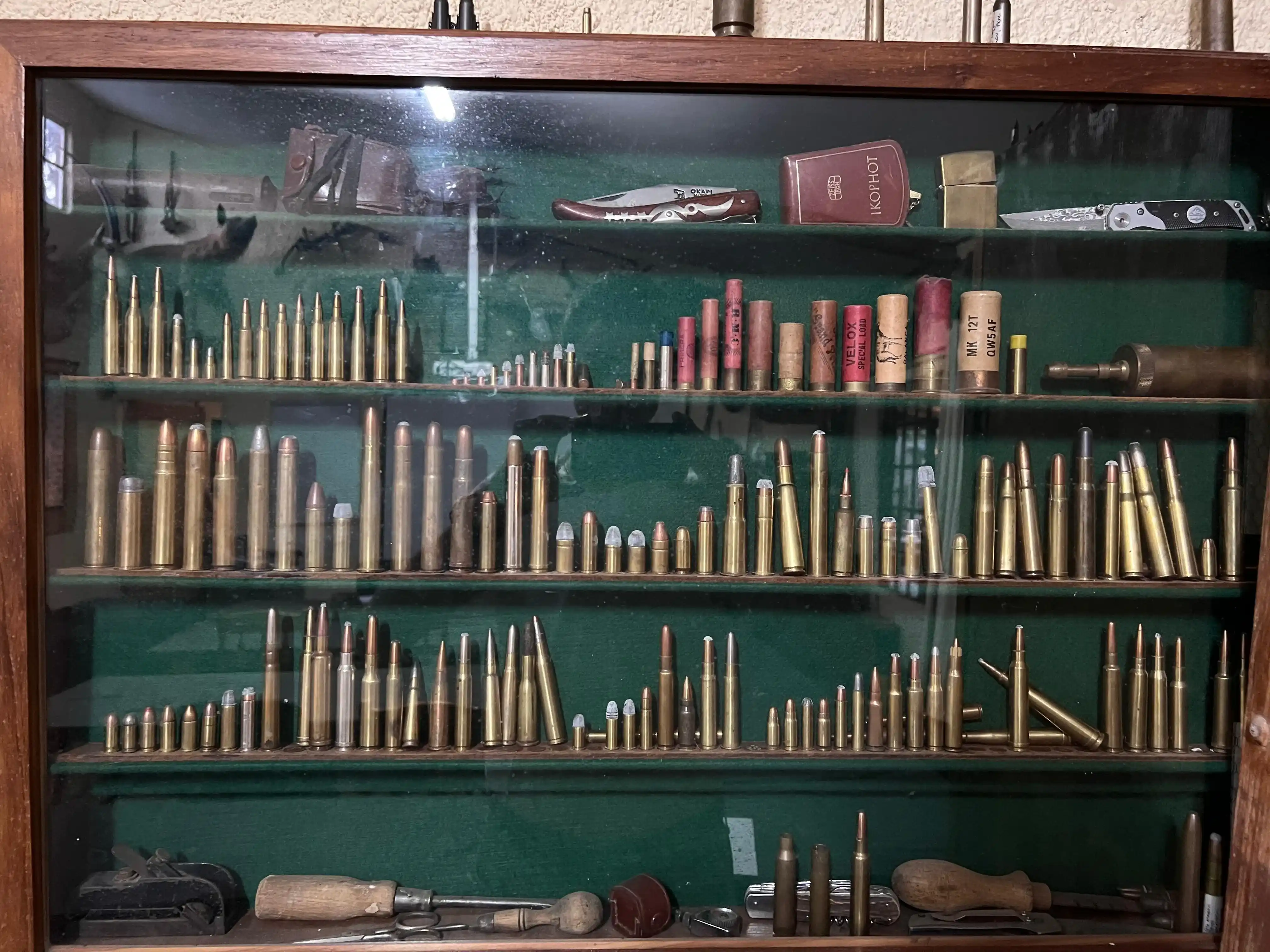 Curso de Cazador Profesional - Imagen 1